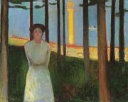 Summer Night's Dream
